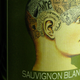 Illustration for article titled Drinking with friends could lower the risk of Alzheimers Disease